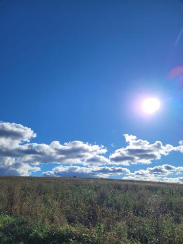 IMG-20251019-WA0050