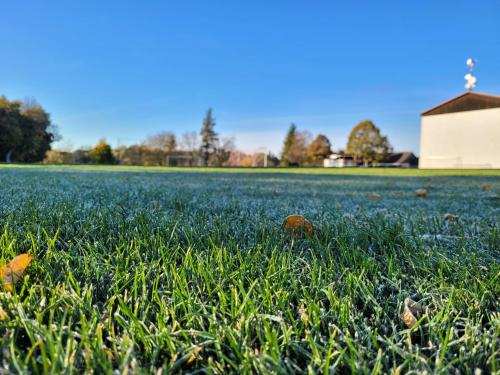 IMG-20251019-WA0056
