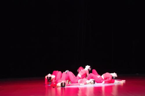 IMG 1828 (1)