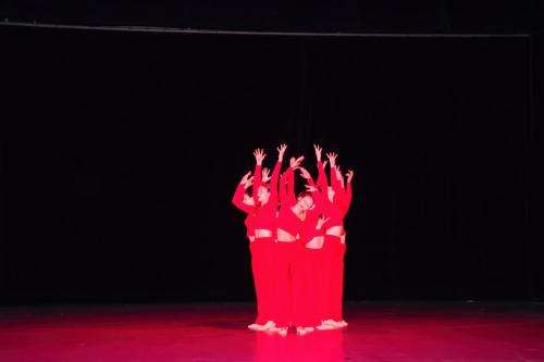 IMG 1832 (1)