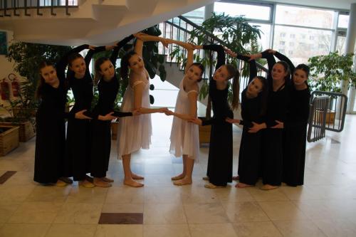 IMG 2234 (1)