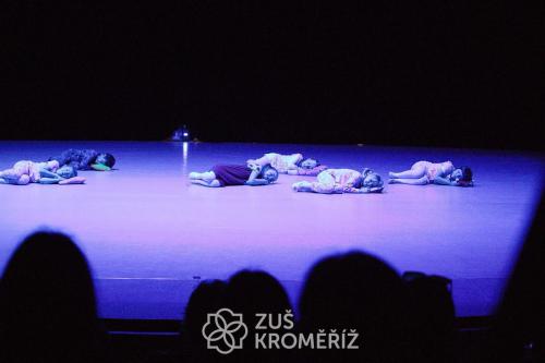 IMG 3970 (1) (1)