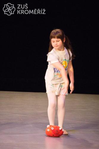 IMG 3995 (1)