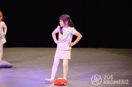 IMG 4010 (1)