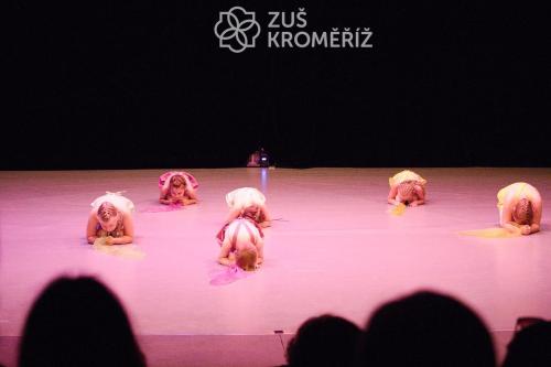 IMG 4041 (1) (1)