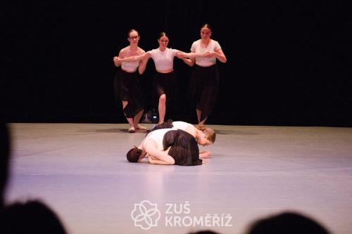 IMG 4252