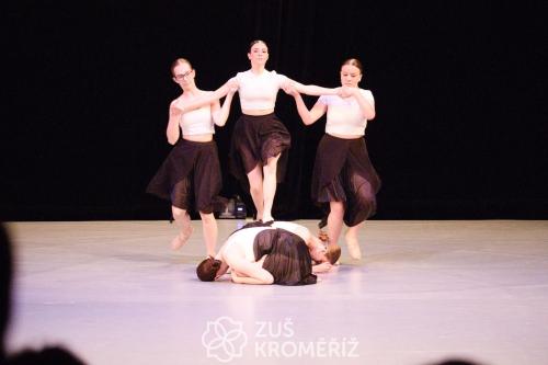 IMG 4254
