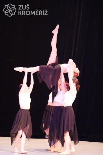 IMG 4288