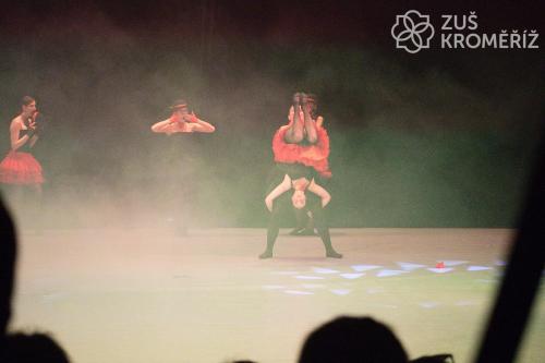 IMG 4956 (1)