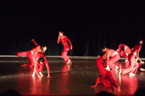 IMG 5996