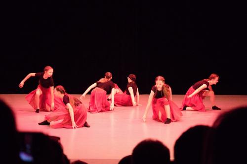 IMG 6093