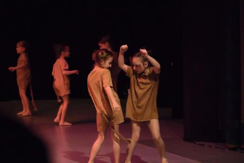 IMG 6222