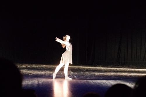 IMG 6251 (1)