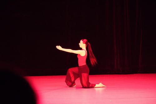 IMG 6595