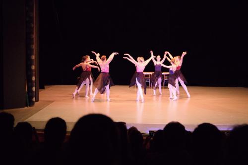IMG 6977