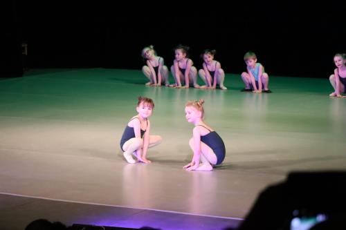 IMG 7310