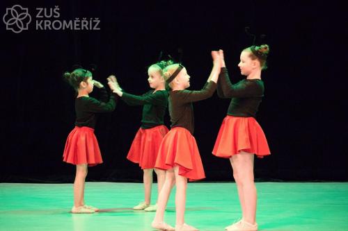 IMG 8813 (1) (1)