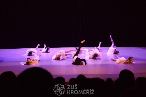 IMG 8878 (1)