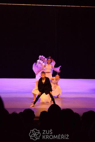 IMG 8887