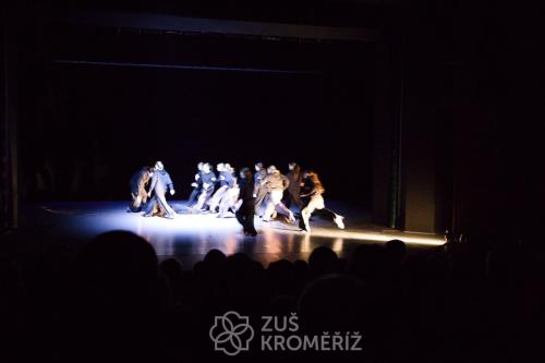 IMG 8990