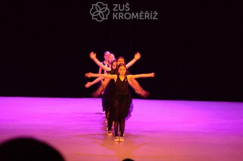 IMG 9020 (1)