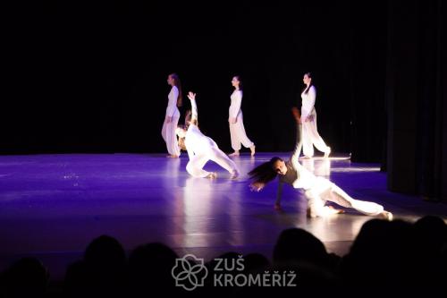 IMG 9045