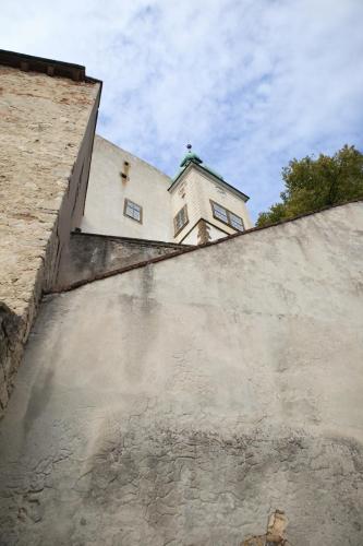 IMG 9232 (1)