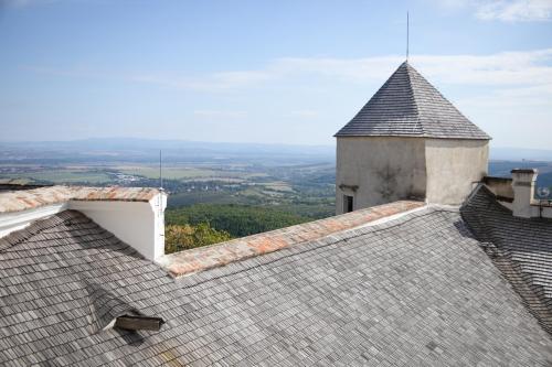 IMG 9239 (1) (1)