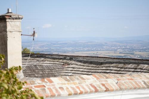 IMG 9244 (1)