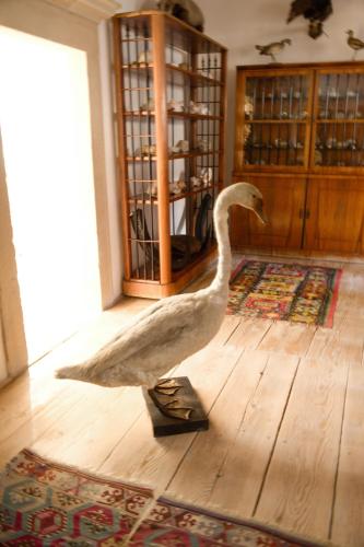 IMG 9327 (1)