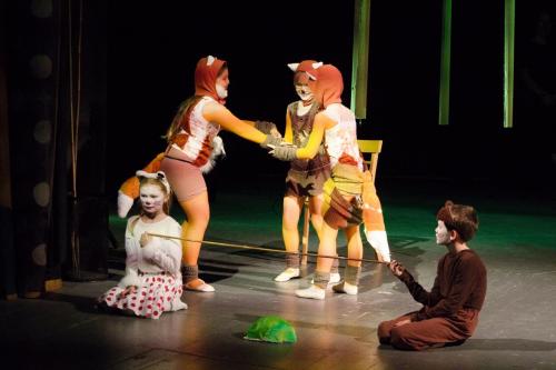 IMG 9329 (1)