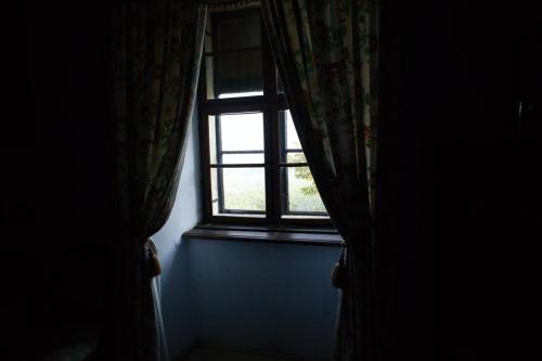 IMG 9338 (1) (1)
