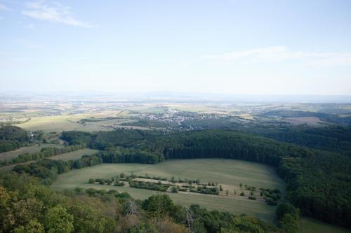 IMG 9347 (1) (1)