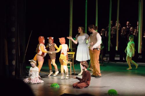 IMG 9353 (1)