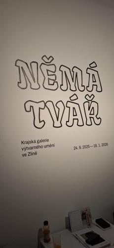 Návštěva výstavy Němá tvář 3. 12. 2025
